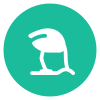 Nest JS Development