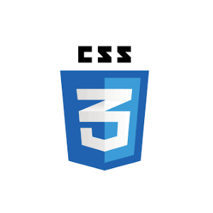 CSS