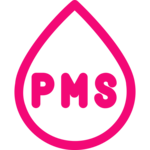 PMS software development